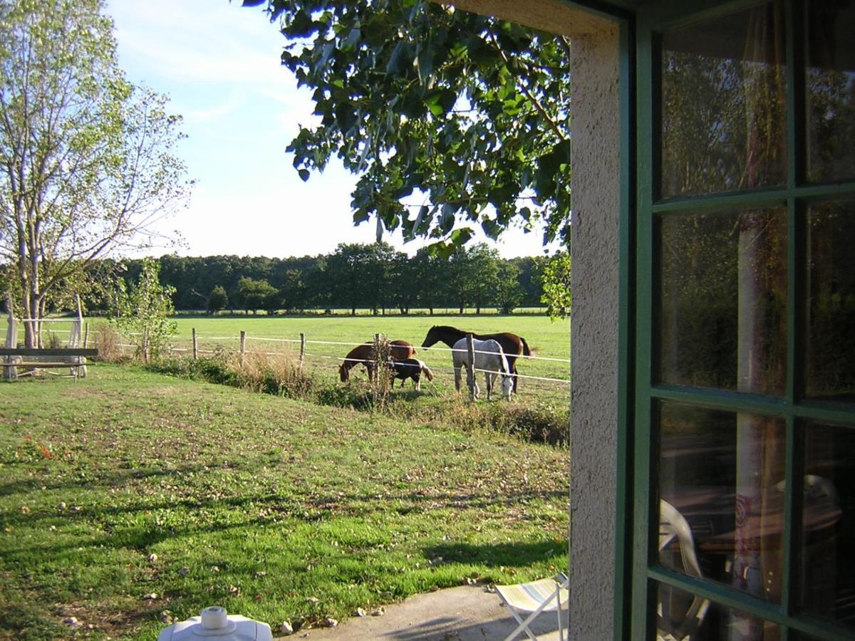 Chambre D'Hote De L'Elevage Du Lattay Les Hauts-d'Anjou Exterior photo